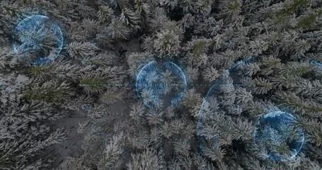 Poster - Digital globe animation overlaying snow-covered trees in forest during winter season