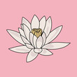 © sasa_elebea - Minimalist White Water Lily Illustration