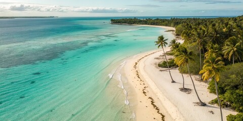 Poster - Serene beach with palm trees and turquoise waters under a clear sky.