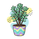 Cute jade plant illustration with decorative pot