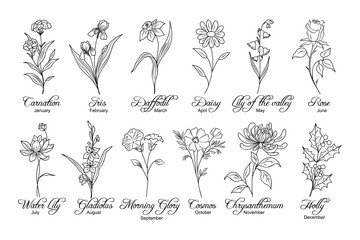set of flower line art vector illustrations. carnation, daffodil, daisy, lilies, gladiolus, chrysant