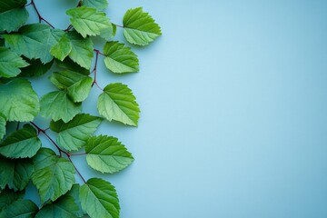Aufkleber - Lush green leaves against a light blue background highlighting natural beauty and simplicity in contemporary design