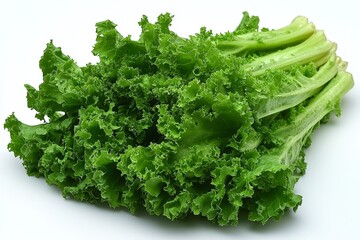 Poster - Vibrant green lettuce with crisp leaves displayed on a plain background perfect for fresh salads or healthy meals