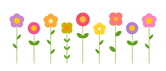 Wall Mural - cute flowers growing in the garden. colorful spring flowers isolated on white background. vector ill