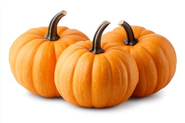 Poster - Bright orange pumpkins arranged together on a white background for autumn decoration and seasonal cooking ideas