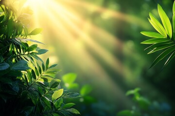 Poster - Sunlight filtering through lush green foliage in a serene forest during the early morning hours