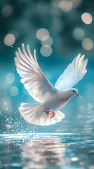 Poster - White dove in flight, wings spread, above teal water, bokeh background, symbolizes peace, hope, purity, serenity, freedom