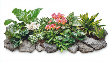Poster - Vibrant orchid garden display with lush greenery and natural stones