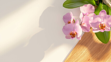 Aufkleber - Vibrant purple orchid in sunlit ceramic pot on wooden surface for decor and design