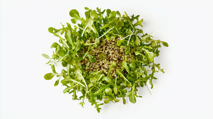 Poster - Fresh cress salad with quinoa on white background for healthy eating and culinary inspiration
