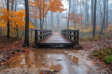 Poster - Autumn fog blankets a serene woodland path with a wooden bridge over a small stream
