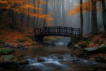 Poster - Tranquil autumn landscape with a wooden bridge over a misty stream in a forest setting