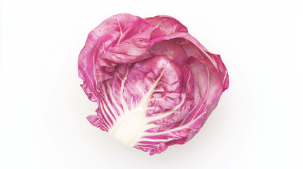 Poster - Fresh fennel and radicchio slaw for culinary inspiration