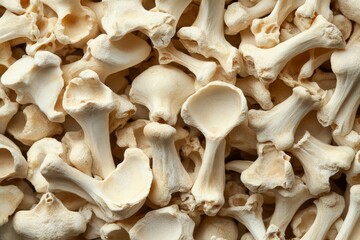 Aufkleber - Close-up view of white vertebrae bones arranged together on a textured surface