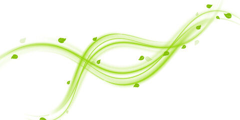 Poster - Green air swirl effect with flying mint leaves isolated on white background PNG, vector realistic illustration for advertising design.	