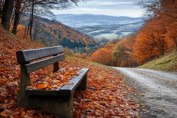 Poster - Autumn landscape with a wooden bench surrounded by colorful foliage in a serene valley