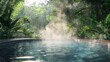 © Marco - beautiful natural pool with mist in the middle of the forest