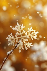 Poster - Captivating macro shot of a delicate snowflake on a twig against a warm golden bokeh background evoking winter magic holiday season and serene beauty