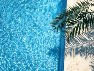 Poster - Serene turquoise water in a swimming pool with palm fronds casting shadows on the poolside tiles creating a tranquil summer scene