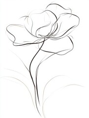 Poster - Elegant floral outline on white background showcasing delicate line art and graceful curves in a minimalist style