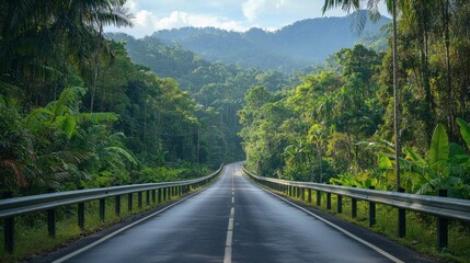 Poster - A tranquil highway stretches through dense green foliage, with towering trees lining either side. The sun softly illuminates the peaceful scene in the early morning hours, inviting exploration