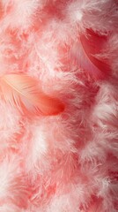 Poster - Delicate Pink Feather Arrangement Soft Texture Background Gentle Lightness Artistic Composition Macro Photography Dreamy Aesthetic