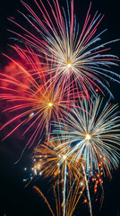 wonderful vivid fireworks exploding on background of black night sky