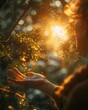 © Mary - Sun-Kissed Reach: Golden Sunlight, Dreamy Touch, Emotional Expression, Nature's Embrace