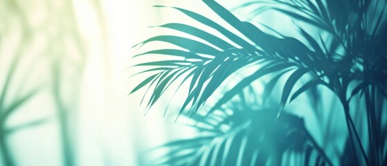 Poster - Serene teal palm frond shadow casting soft light on a textured wall creating a tropical tranquil vibe for design