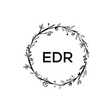 EDR creative minimalist letter logo.