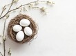 © Andrea - Easter Eggs in Nest with Spring Blossoms on White Background