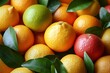 © sidik - Fresh citrus fruits close-up