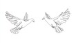 © novanda - Two Birds in Flight, Line Art Design