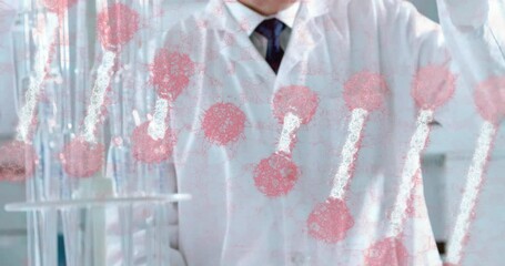 Poster - Scientist in lab coat working with red cell structures overlay animation