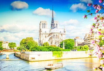 Wall Mural - notre dame cathedral, paris france