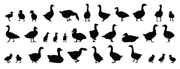 goose and gosling silhouette set. goose and gosling isolated farm animal silhouette icon vector collection