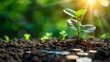 © อภิสาร เจนชัย - Sustainable investing practices that drive corporate responsibility and impact.