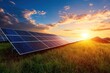© M - Solar panels generate energy on a grassy field under the sun