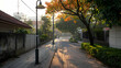 © artzone - Sunlit Street Scene With Trees And Buildings During Morning Hours