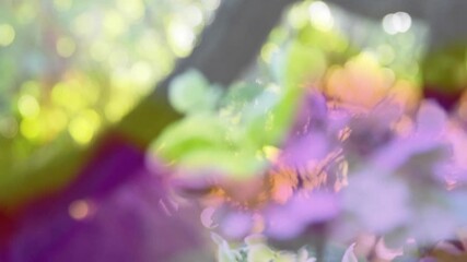 Poster - Blending colorful abstract floral shapes with soft focus in animation style