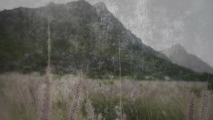 Poster - Tall grass swaying in foreground, mountain landscape creating serene animation scene
