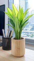 Poster - A cozy desk setup featuring a computer and a potted plant creating a productive atmosphere