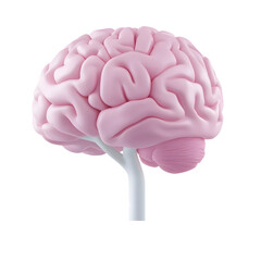 Poster - Highly detailed and 3D rendering of a human brain showcasing its complex structure and functions related to intelligence cognition and neuroscience