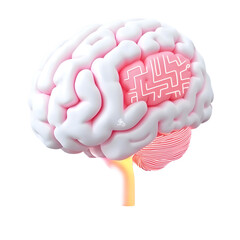 Fototapete - A 3D rendering of a human brain with intricate technology inspired circuit pathways extending outwards