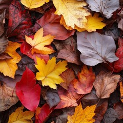Aufkleber - Autumn Symphony: A Colorful Carpet of Fallen Leaves in Shades of Red, Yellow, and Brown on the Forest Floor.