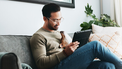 Aufkleber - Home, dog and man on couch, tablet and relax with social media, pet and communication. Apartment, person and guy with tech, internet and best friend with connection, app and website info for animals