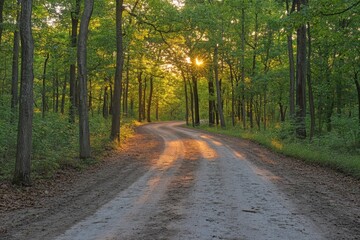 Aufkleber - Winding dirt path through a lush forest at sunset with warm sunlight filtering through the trees