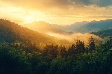 Aufkleber - Sunrise illuminates a misty forest valley with rolling mountains in the distance at dawn