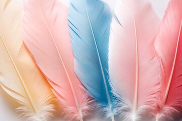 Aufkleber - Colorful feathers arranged in a row display vibrant hues and delicate textures