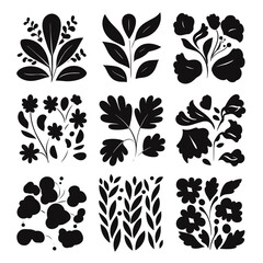Poster - Artistic Flora: An elegant and stylish illustration presents a collection of beautiful floral patterns, showcasing the diverse shapes and forms of botanical elements.
